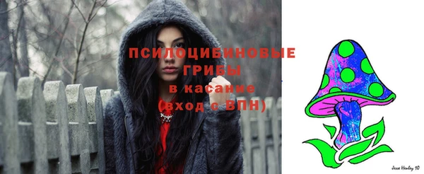 тгк Алзамай