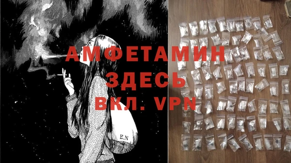 гидра Алексеевка