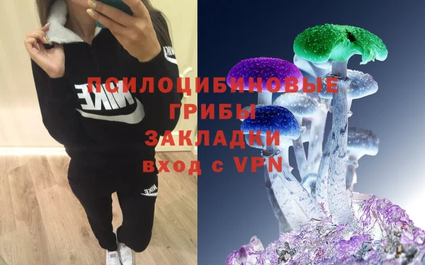 тгк Алзамай