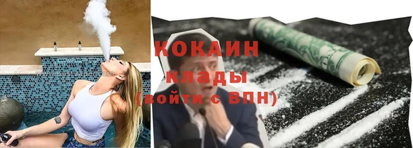 гидра Алексеевка